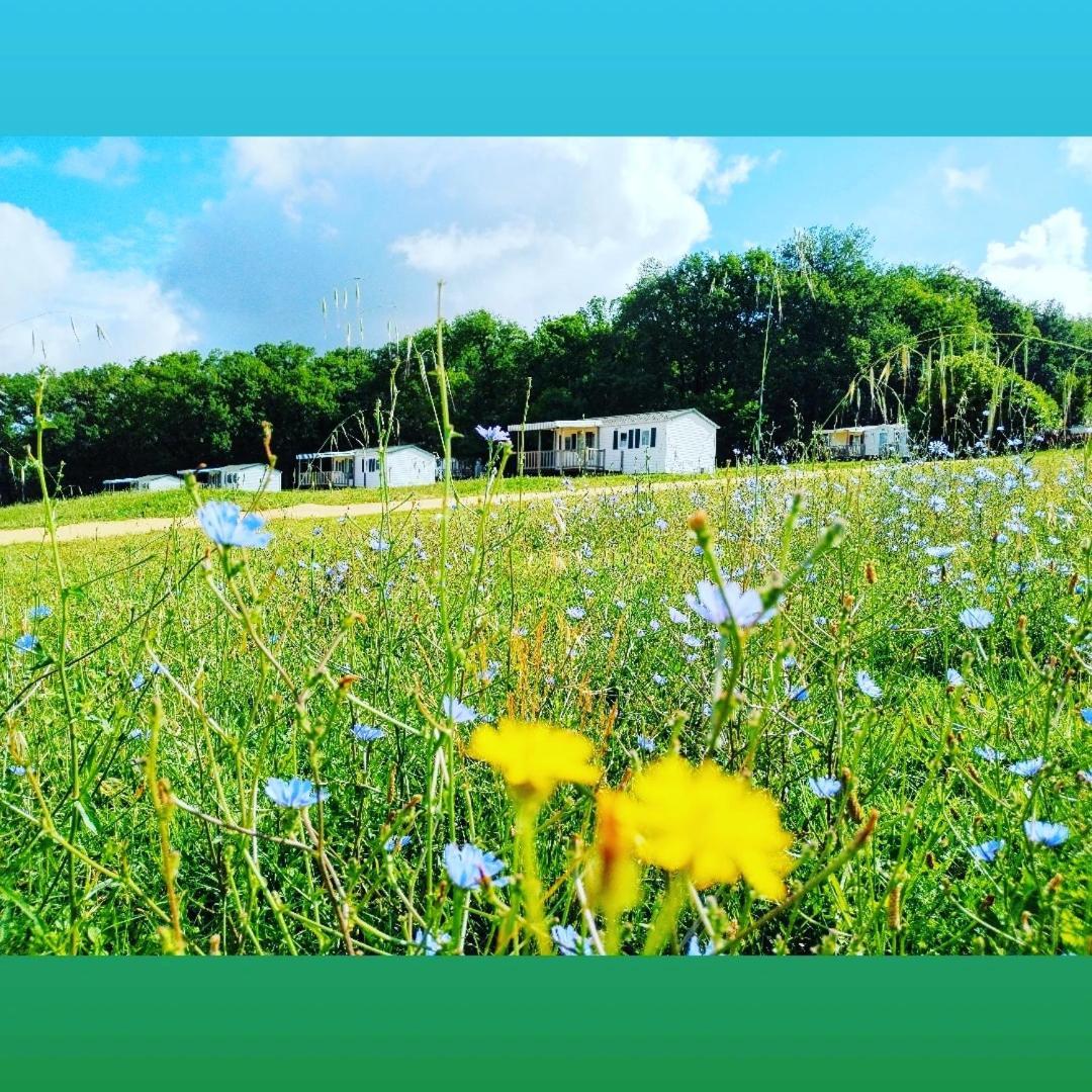 Camping Nature Le Valenty Mobil-Home-Dordogne Panoramique Clim Piscine Soturac 外观 照片