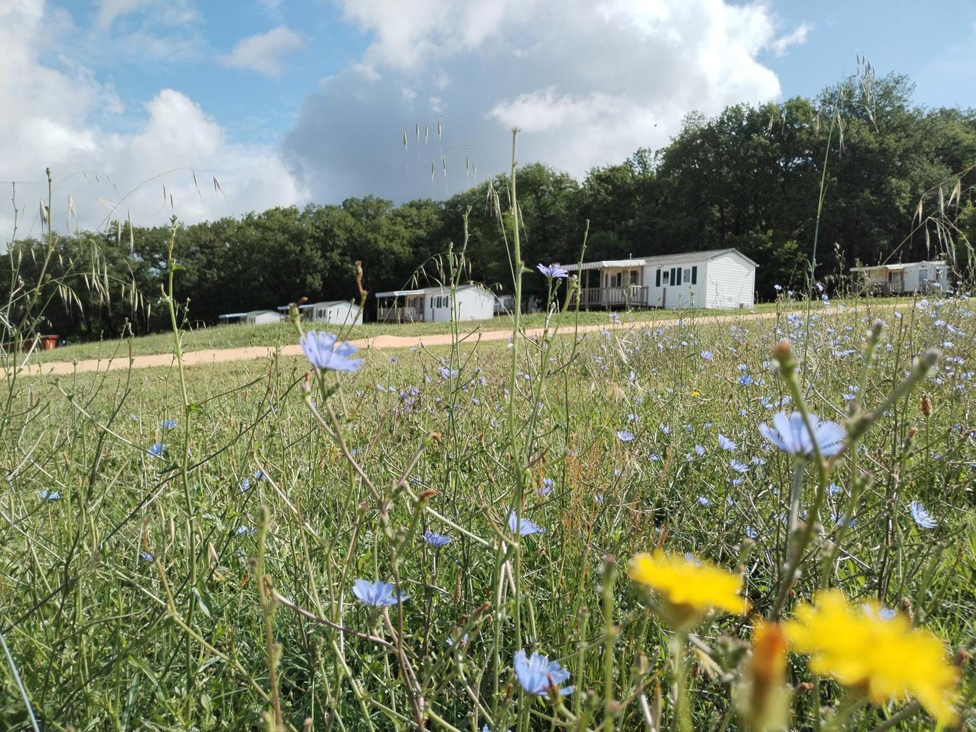 Camping Nature Le Valenty Mobil-Home-Dordogne Panoramique Clim Piscine Soturac 外观 照片