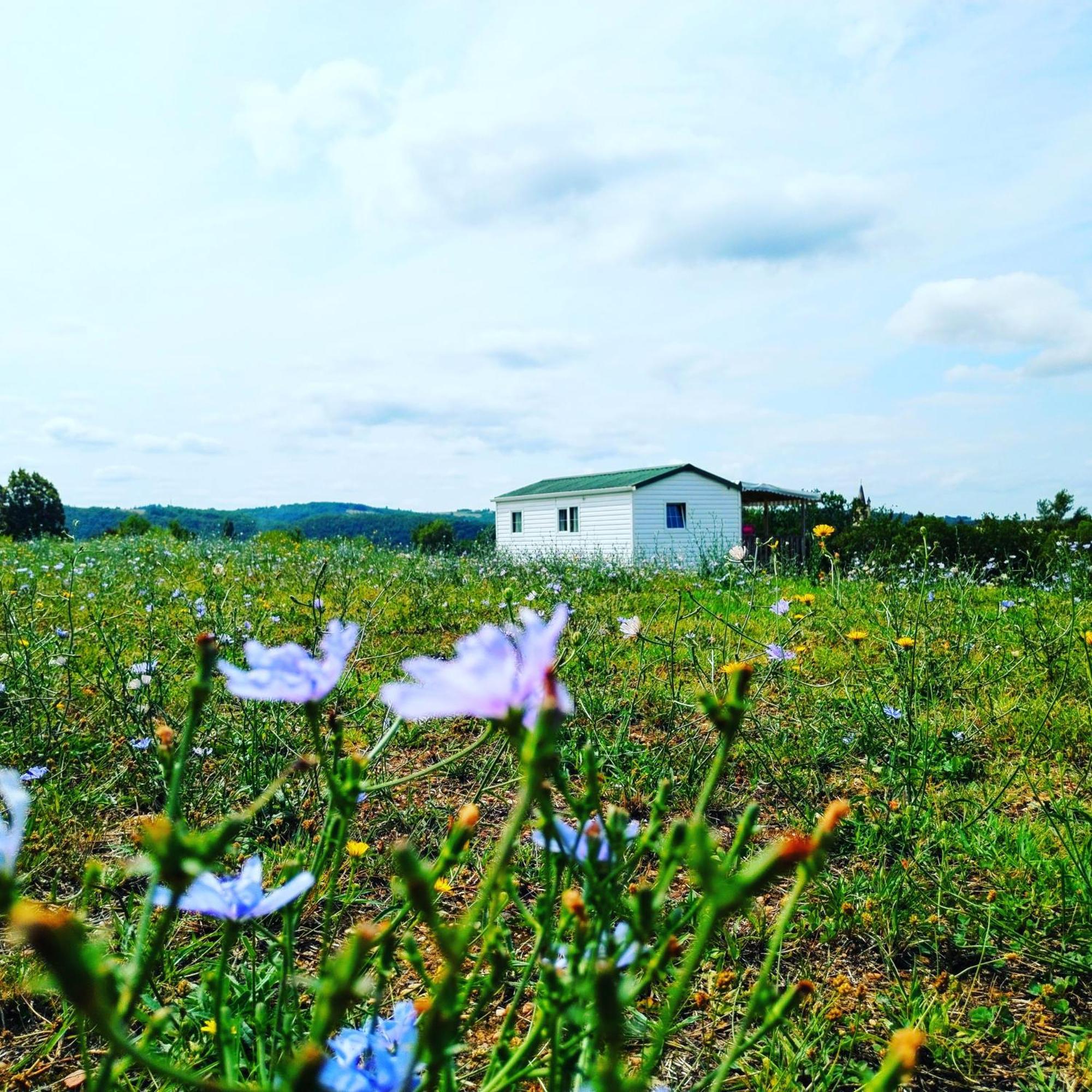Camping Nature Le Valenty Mobil-Home-Dordogne Panoramique Clim Piscine Soturac 外观 照片