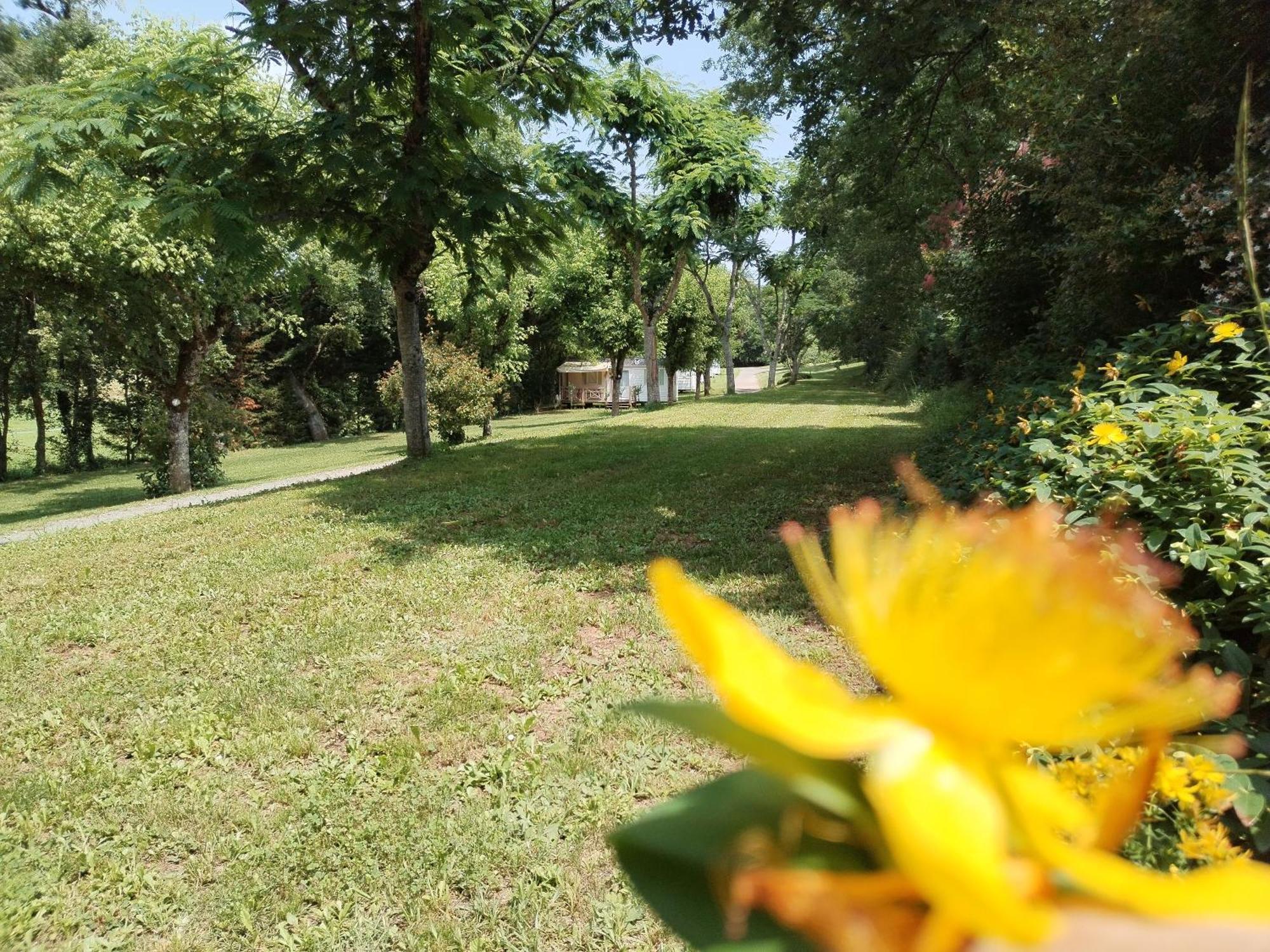 Camping Nature Le Valenty Mobil-Home-Dordogne Panoramique Clim Piscine Soturac 外观 照片